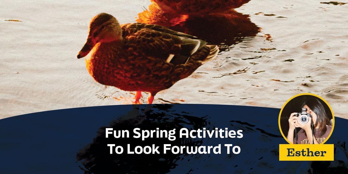 Fun Spring Activities To Look Forward To